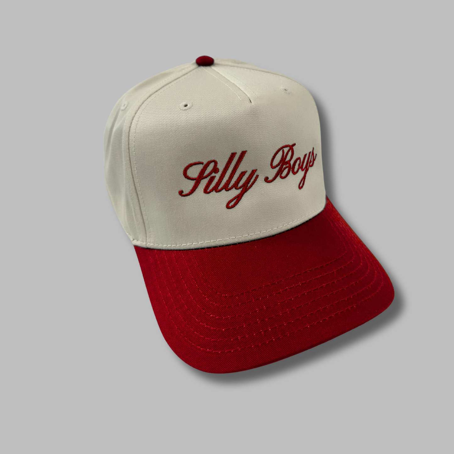 SILLY BOYS HAT