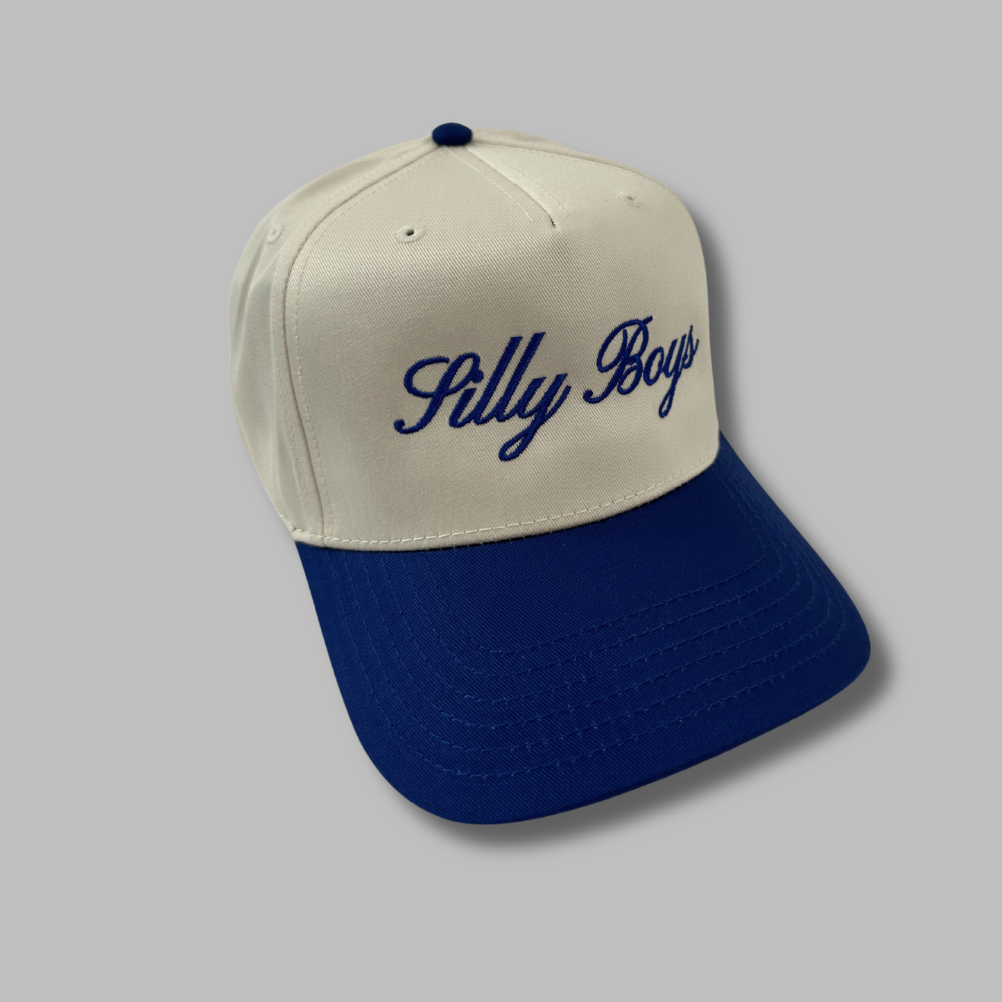 SILLY BOYS HAT