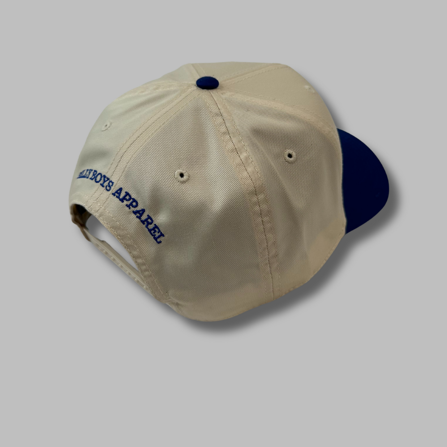 SILLY BOYS HAT