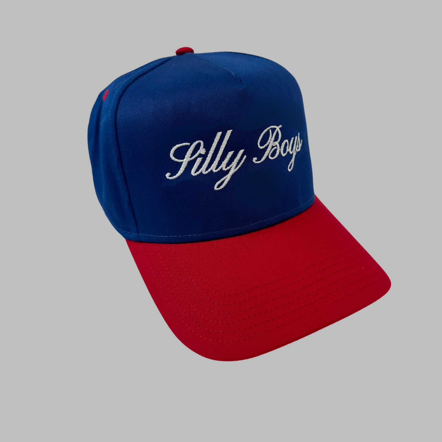 SILLY BOYS HAT