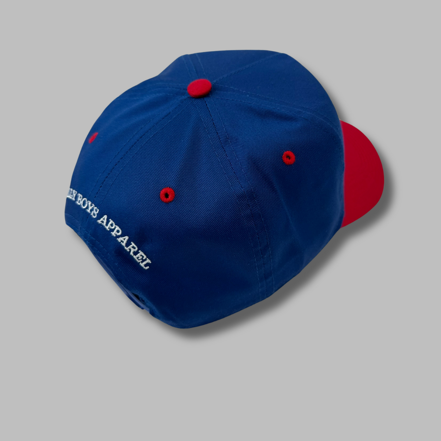 SILLY BOYS HAT