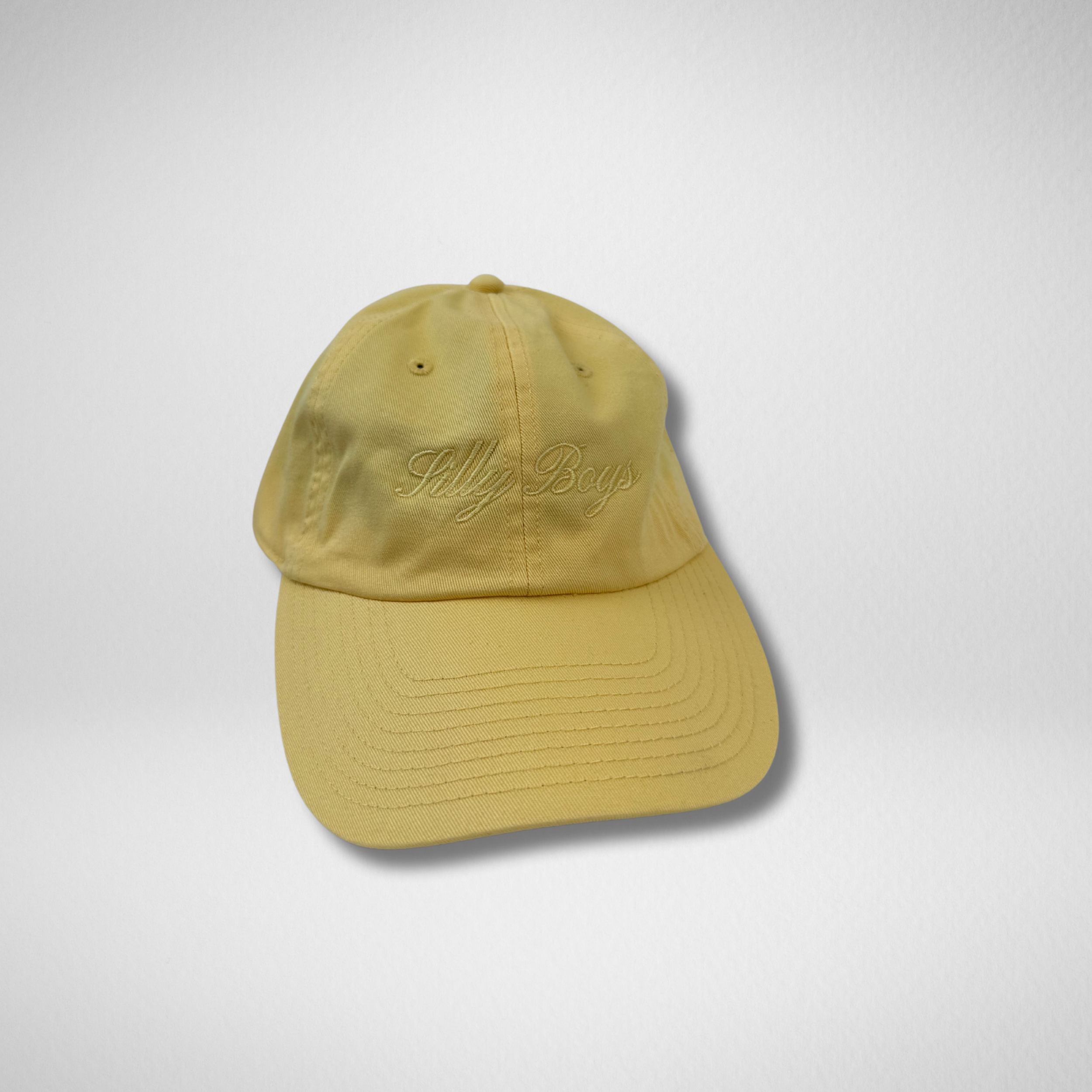 SILLY BOYS DAD HAT