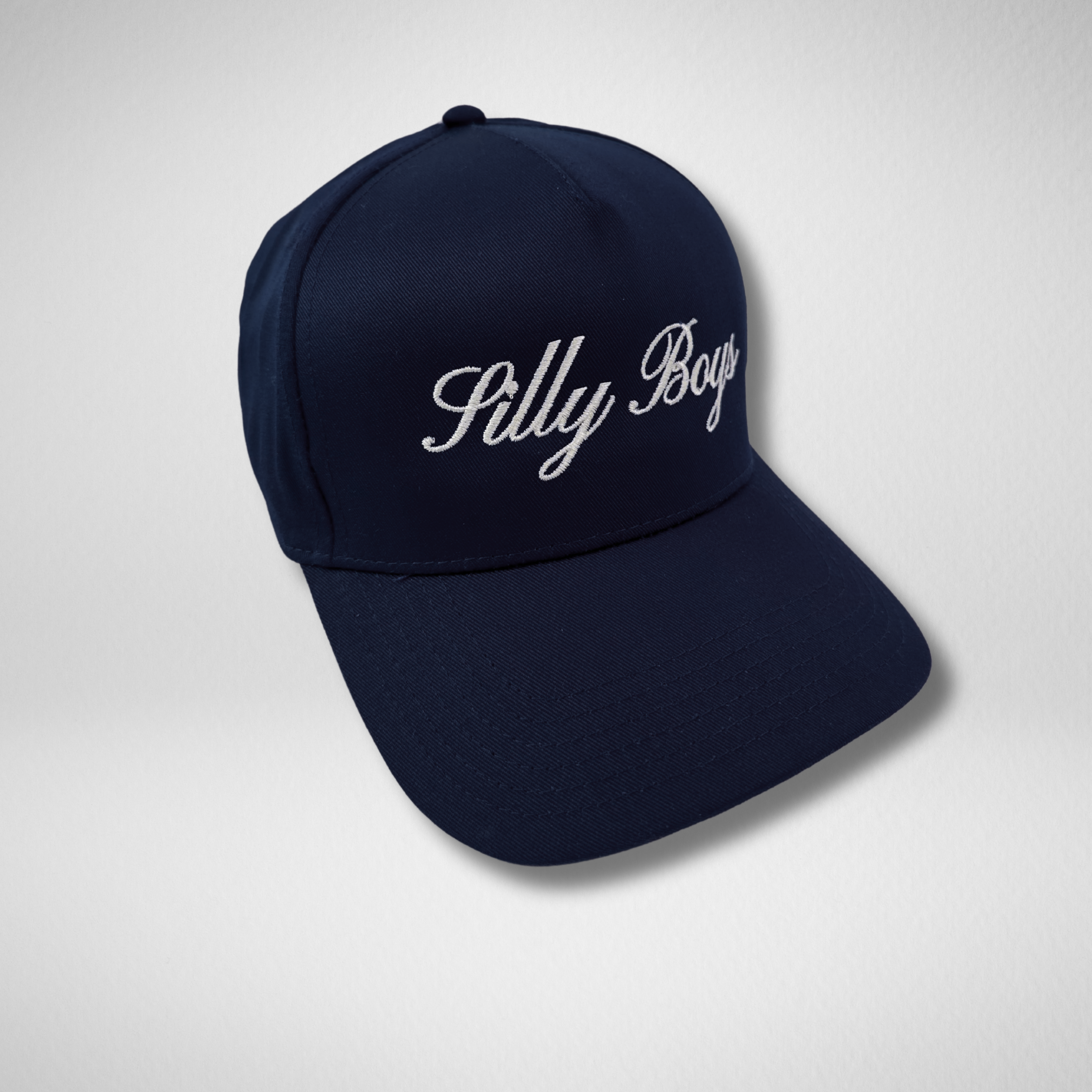 SILLY BOYS HAT