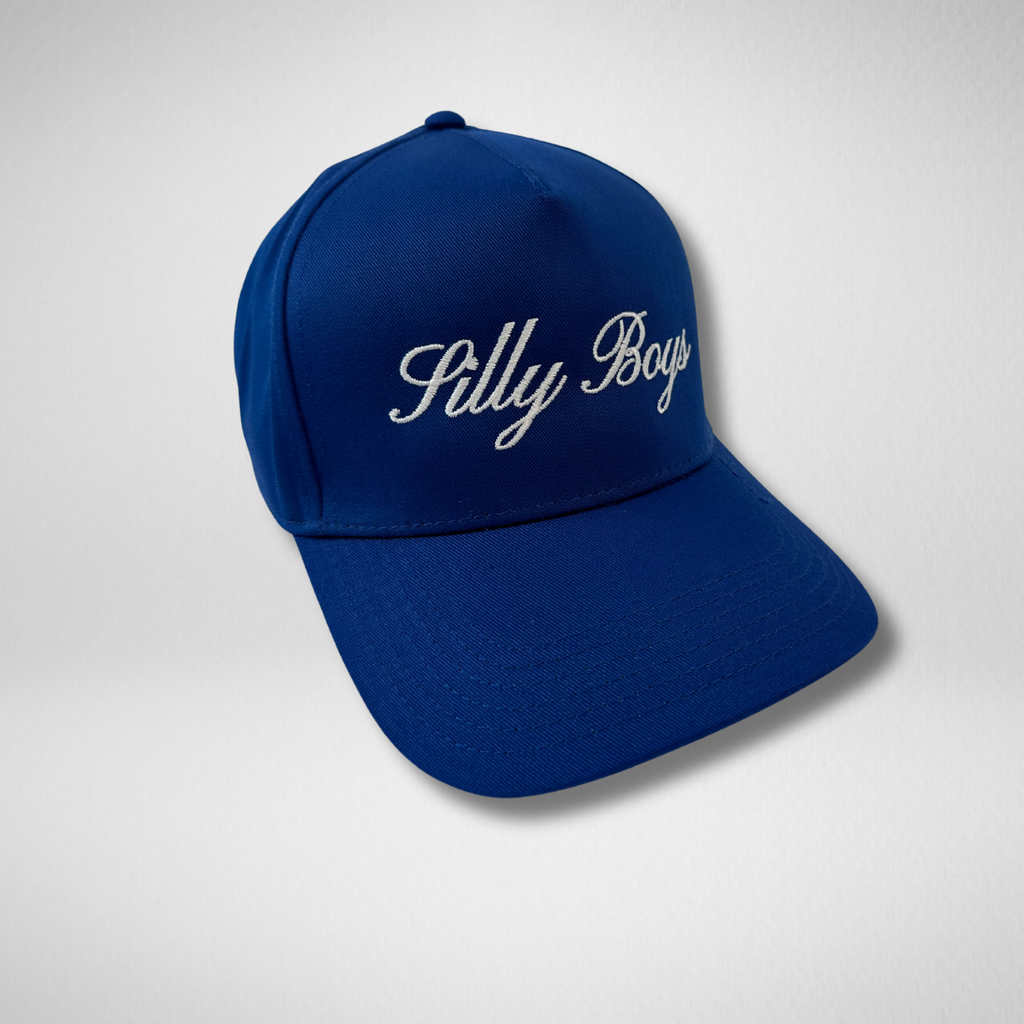 SILLY BOYS HAT