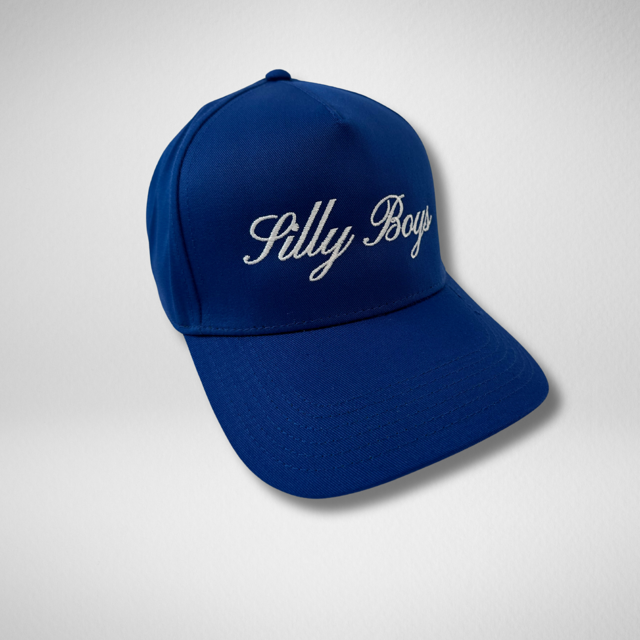 SILLY BOYS HAT