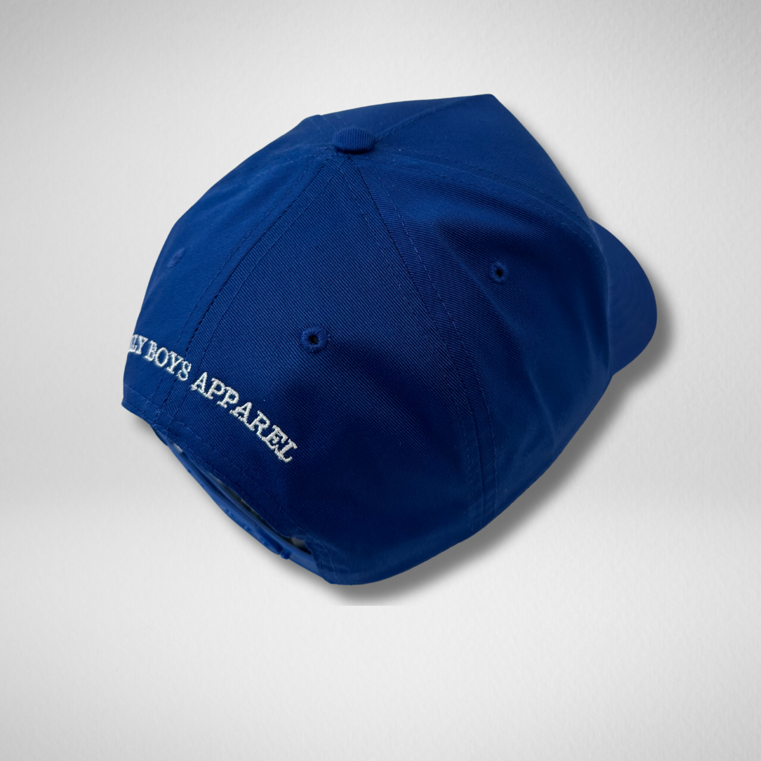 SILLY BOYS HAT