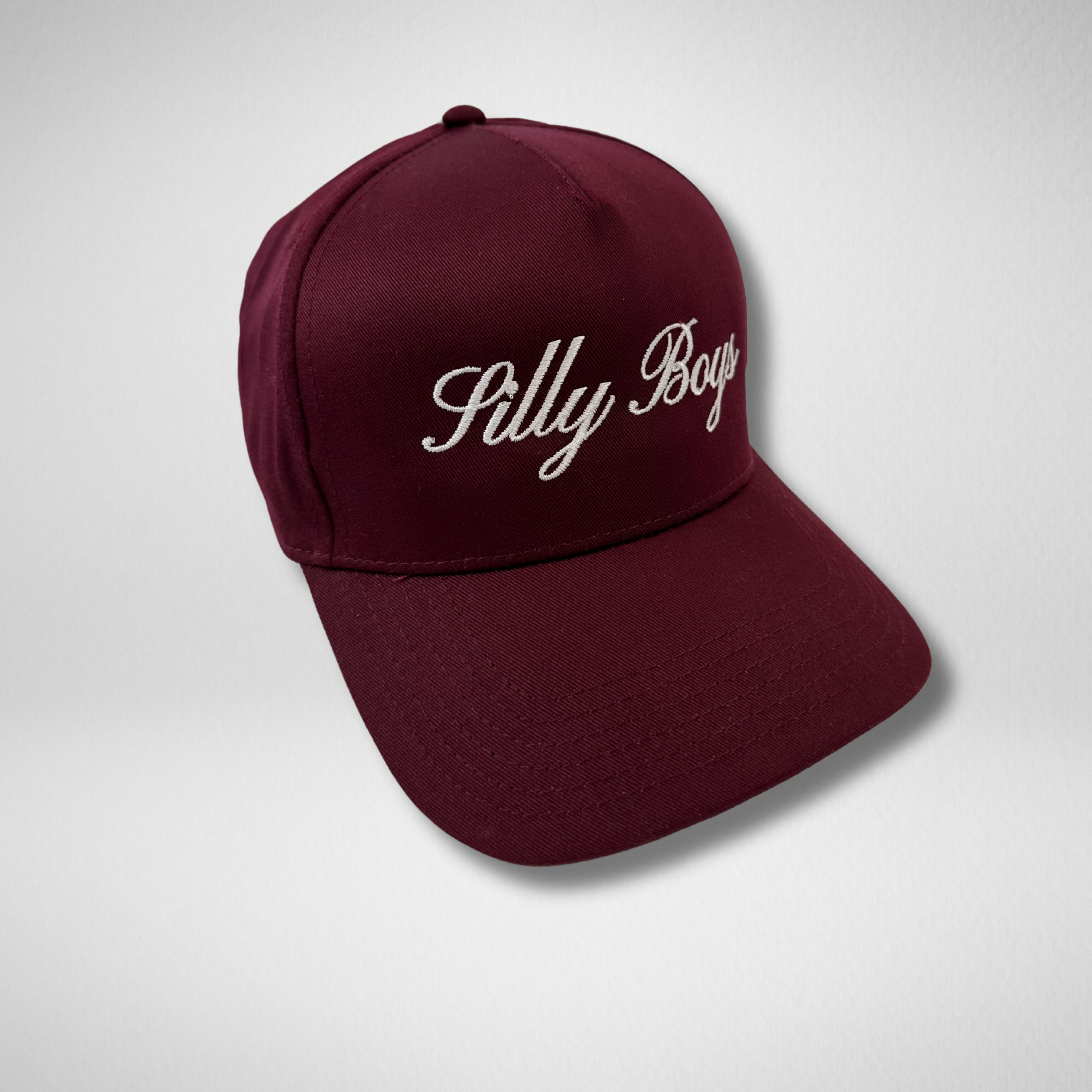 SILLY BOYS HAT