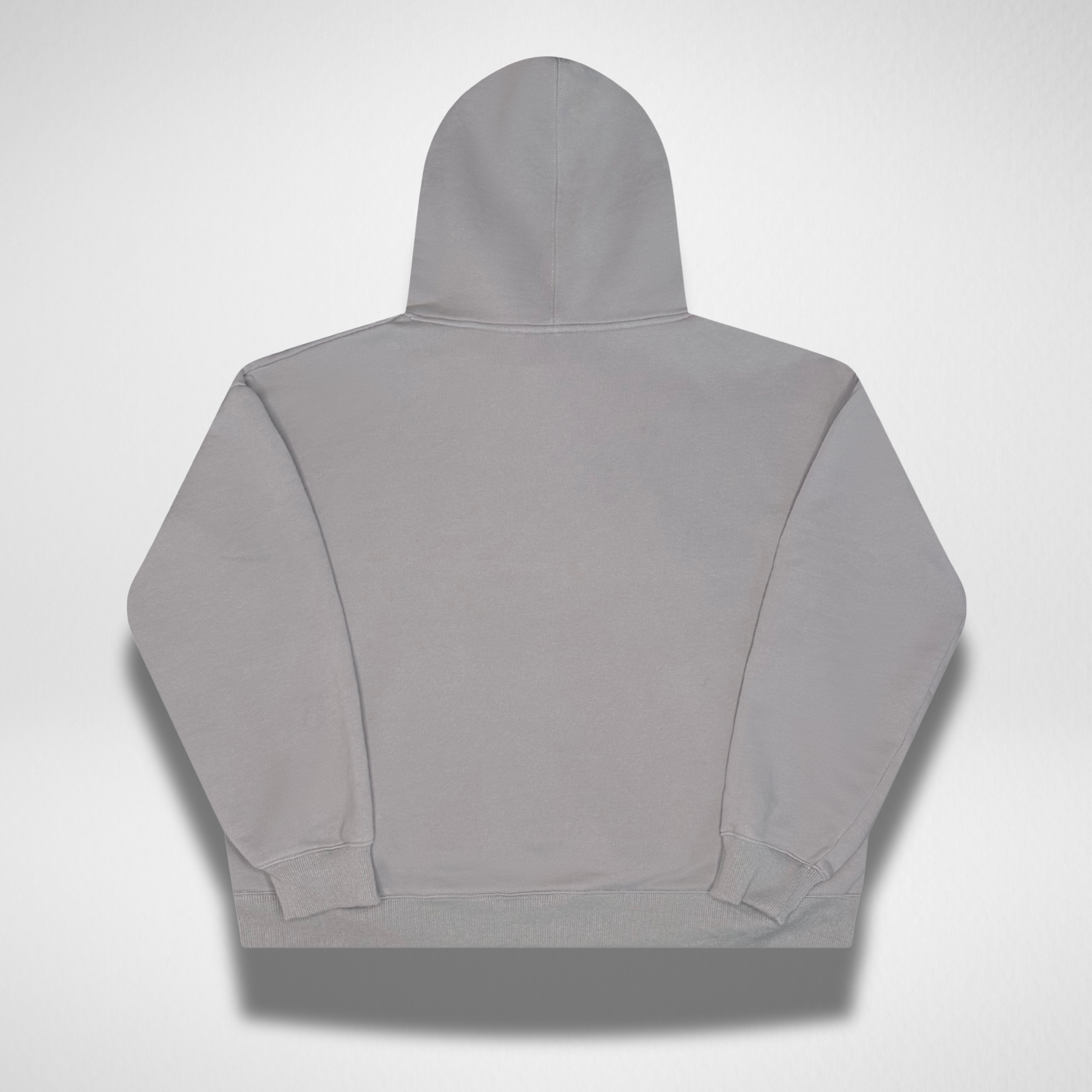 GREY HOODIE - LIMITED EDITION
