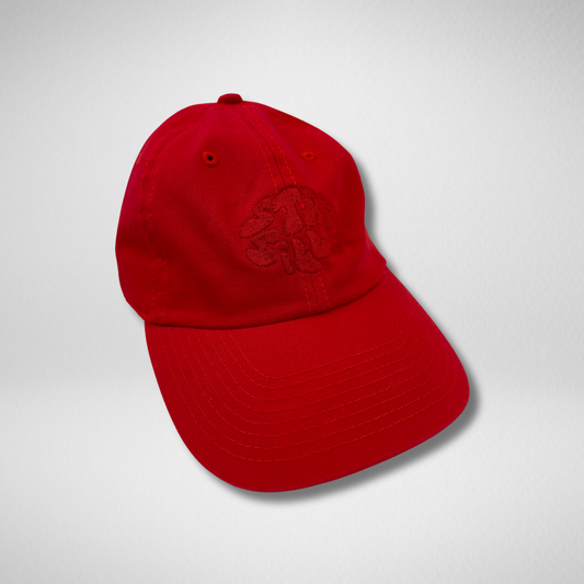 DAD HAT - UNSTRUCTURED