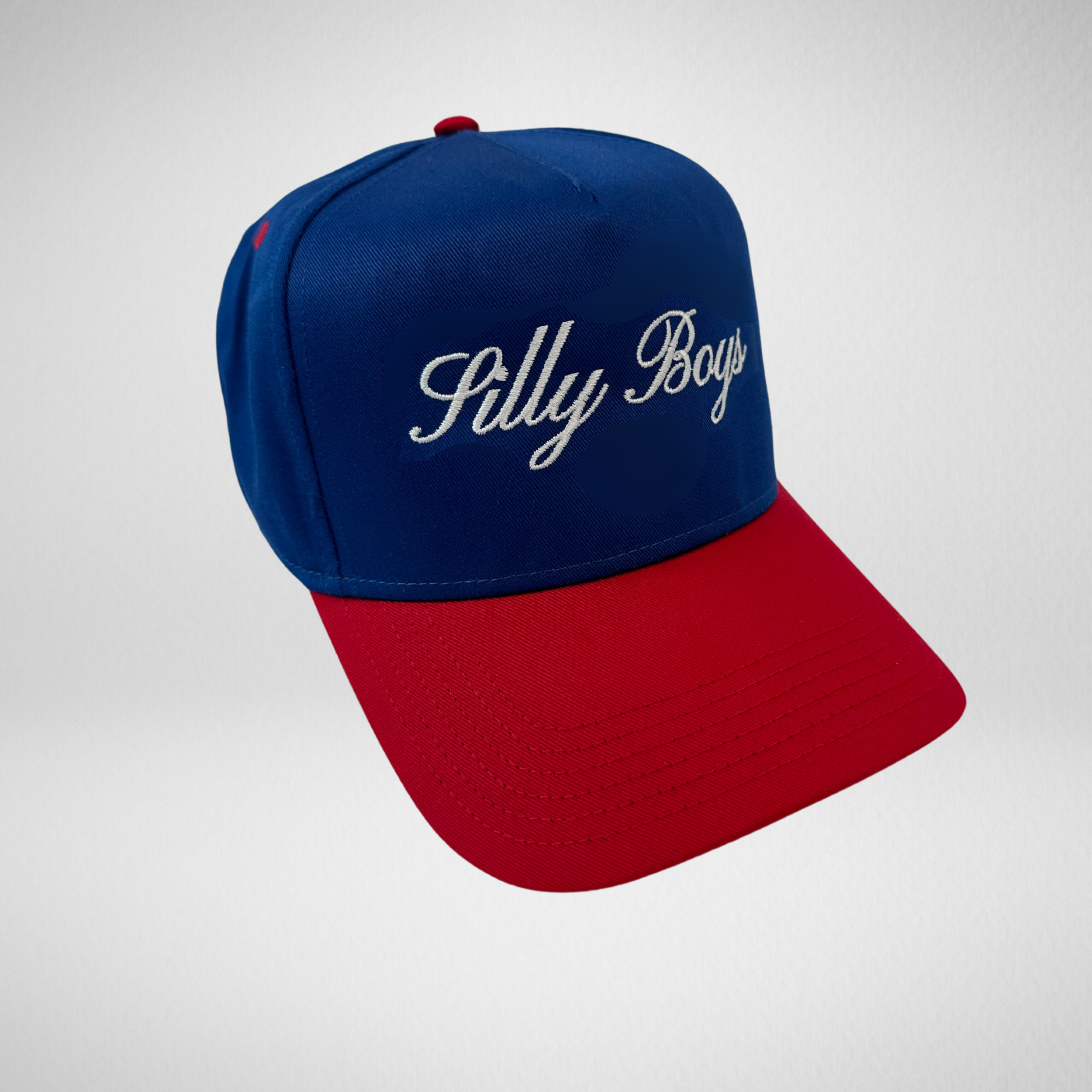 SILLY BOYS HAT