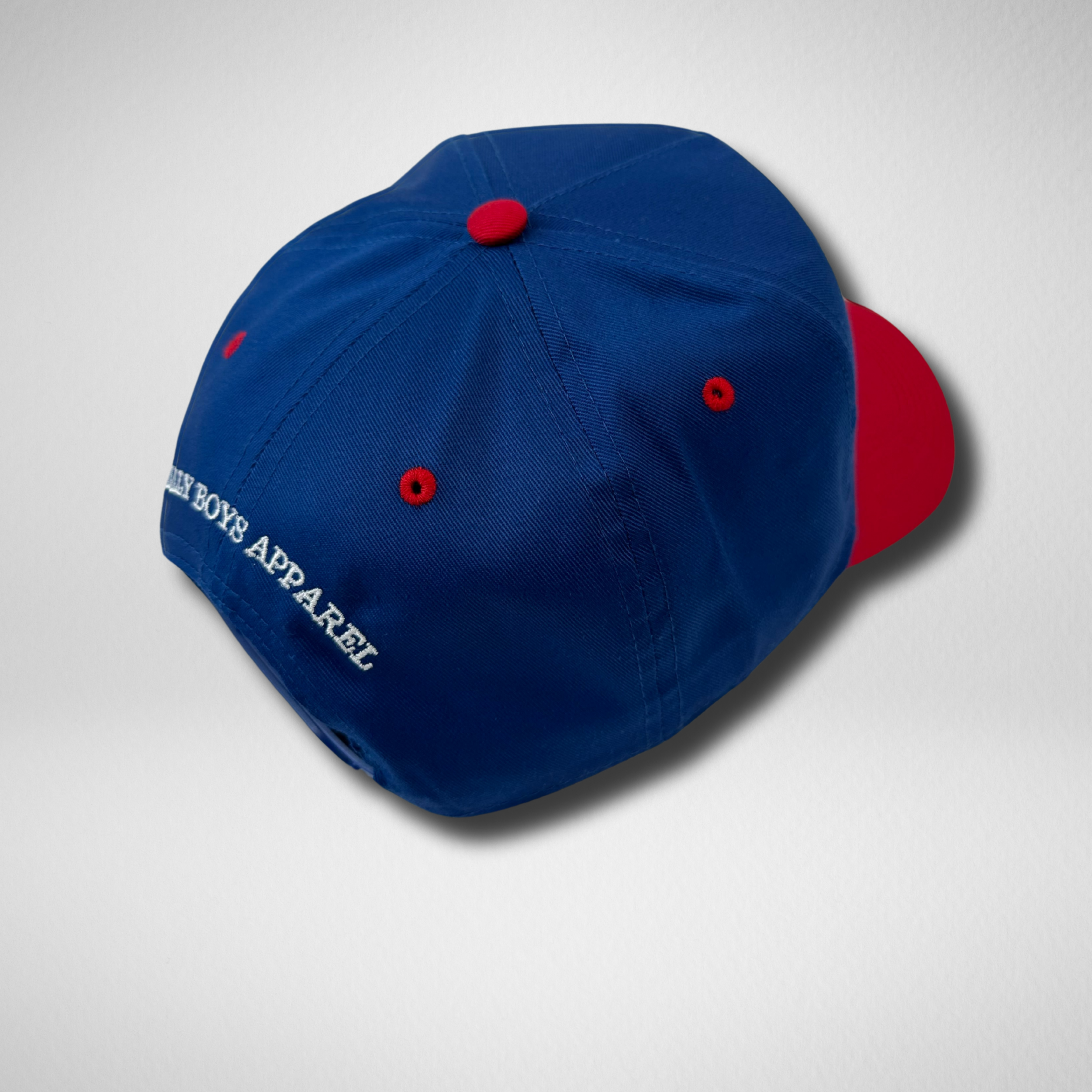 SILLY BOYS HAT