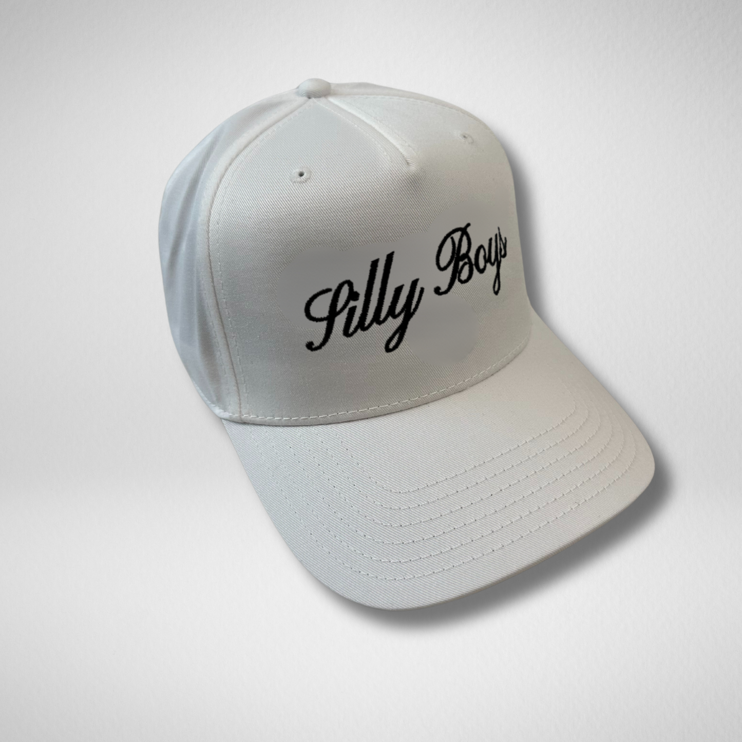 SILLY BOYS HAT