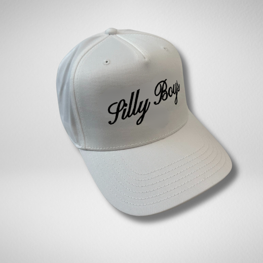 SILLY BOYS HAT