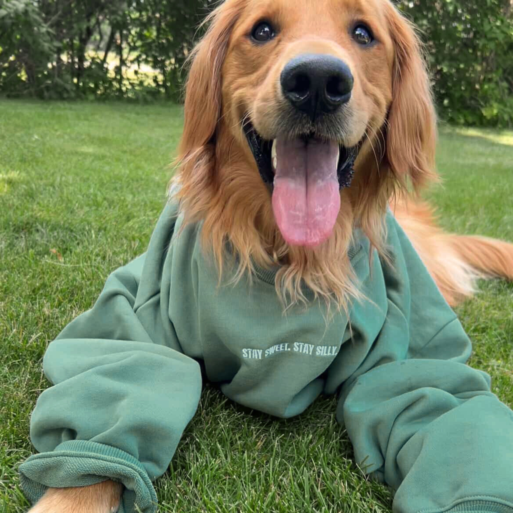 STAY SILLY SWEATER - GREEN